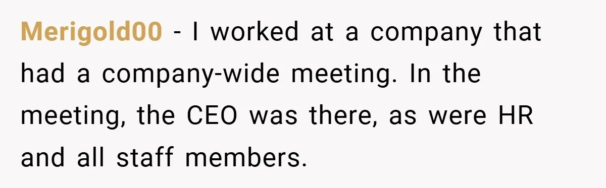 Merigold00 − I worked at a company that had a company-wide meeting. In the meeting, the CEO was there, as were HR and all staff members.