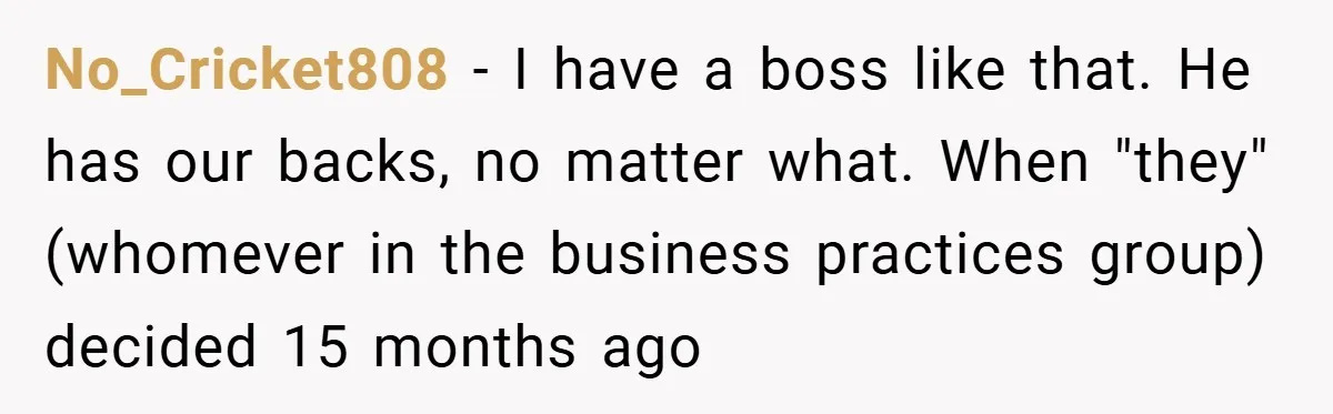 No_Cricket808 − I have a boss like that. He has our backs, no matter what. When "they" (whomever in the business practices group) decided 15 months ago