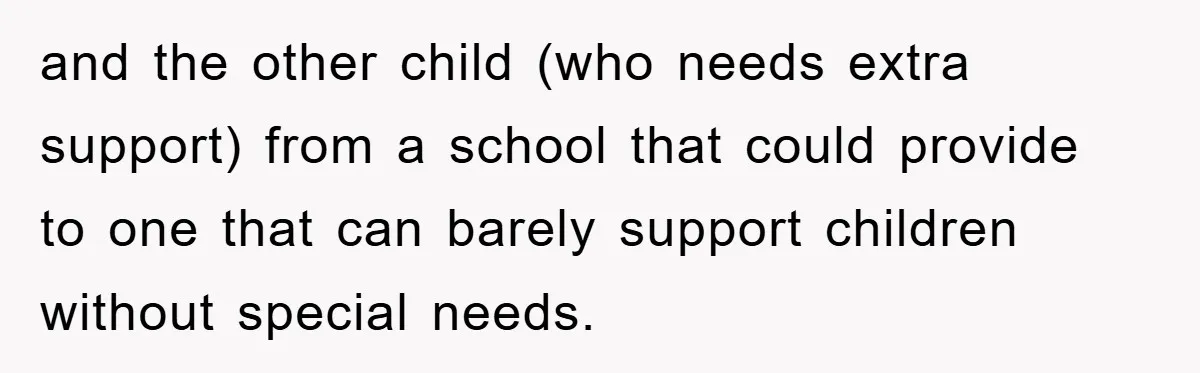 and the other child (who needs extra support) from a school that could provide to one that can barely support children without special needs.