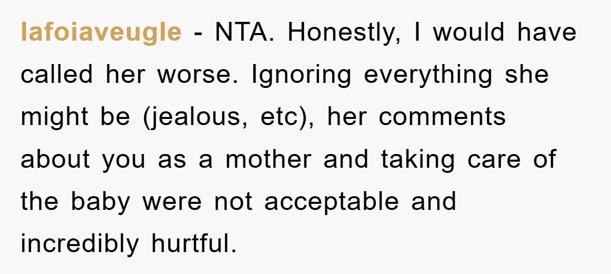 Her Friend Mocked Her Pregnancy, So She Delivered a Comeback Nobody Expected lafoiaveugle − NTA. Honestly, I would have called her worse. Ignoring everything she might be (jealous, etc), her comments about you as a mother and taking care of the baby...