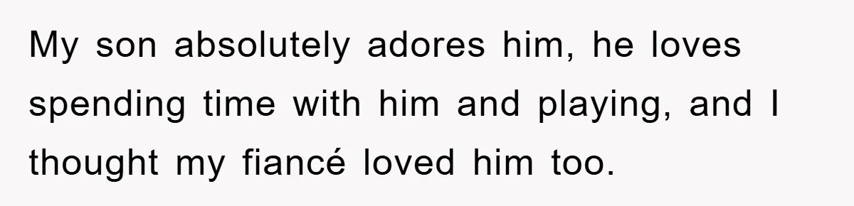 My son absolutely adores him, he loves spending time with him and playing, and I thought my fiancé loved him too.