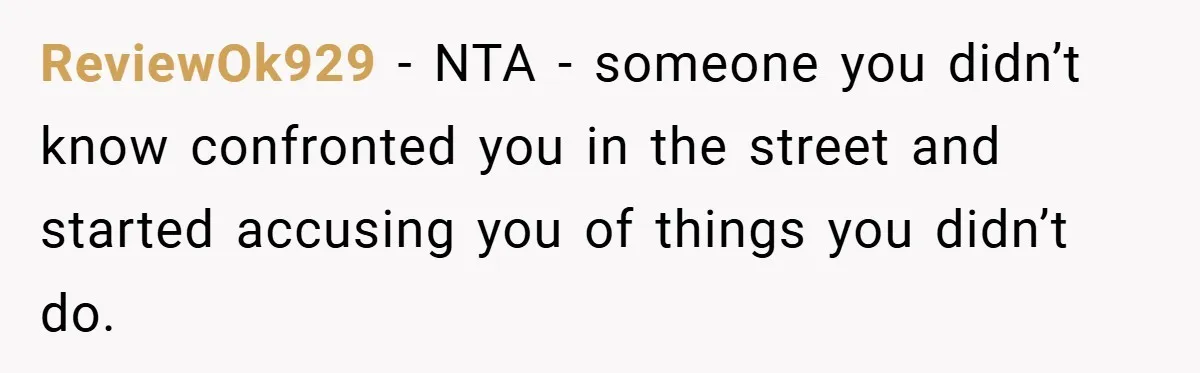 ReviewOk929 − NTA - someone you didn’t know confronted you in the street and started accusing you of things you didn’t do.