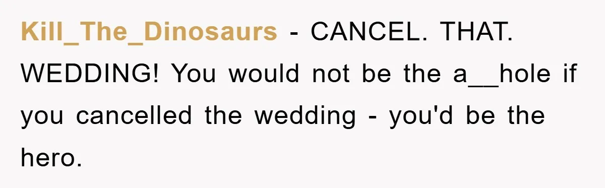 Kill_The_Dinosaurs − CANCEL. THAT. WEDDING! You would not be the a__hole if you cancelled the wedding - you'd be the hero.