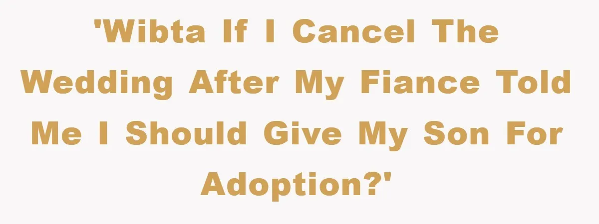 'WIBTA if I cancel the wedding after my fiance told me I should give my son for adoption?'