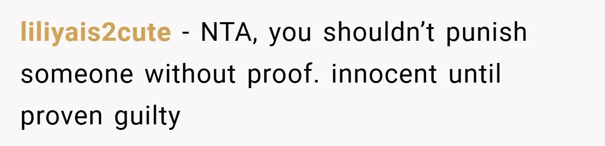 liliyais2cute − NTA, you shouldn’t punish someone without proof. innocent until proven guilty