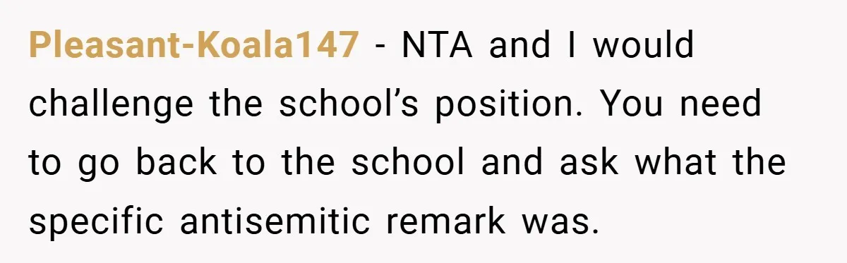 Pleasant-Koala147 − NTA and I would challenge the school’s position. You need to go back to the school and ask what the specific antisemitic remark was.