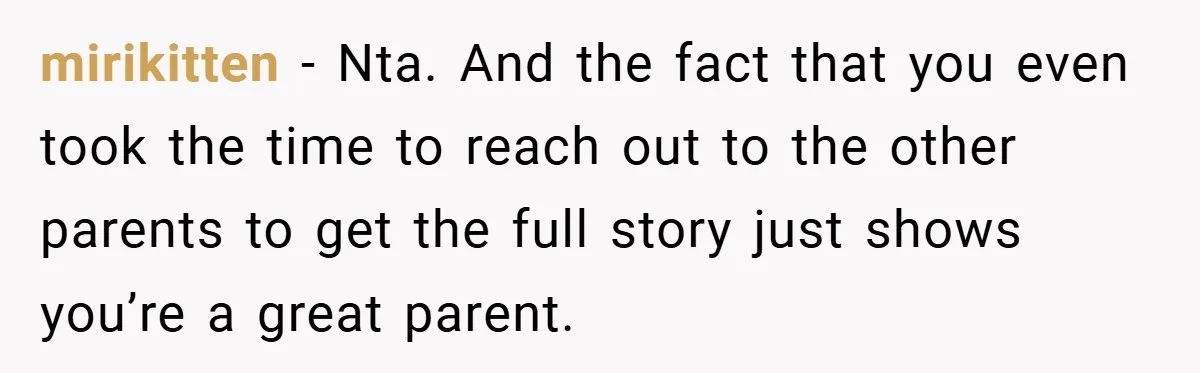 mirikitten − Nta. And the fact that you even took the time to reach out to the other parents to get the full story just shows you’re a great parent.