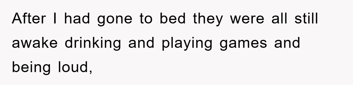 After I had gone to bed they were all still awake drinking and playing games and being loud,