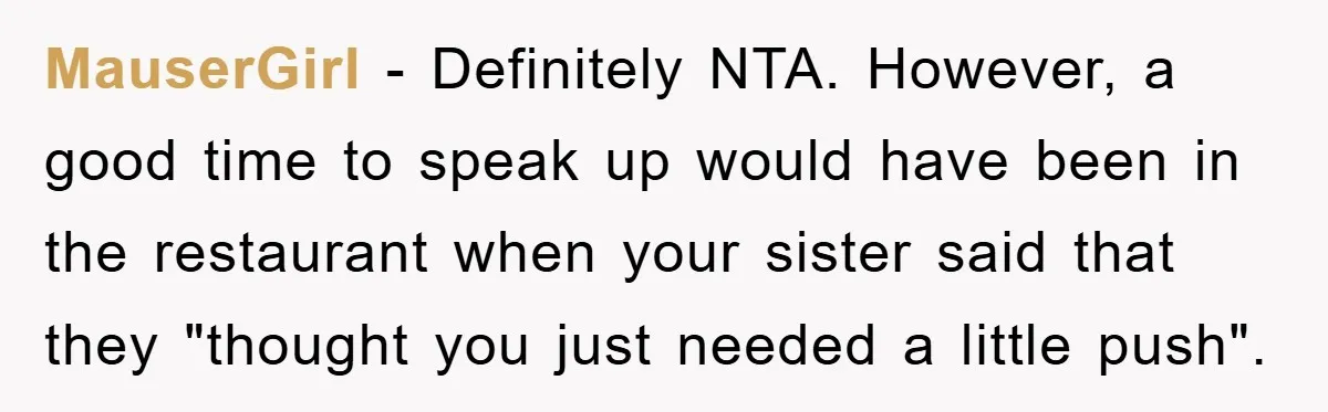 MauserGirl − Definitely NTA. However, a good time to speak up would have been in the restaurant when your sister said that they "thought you just needed a little push".