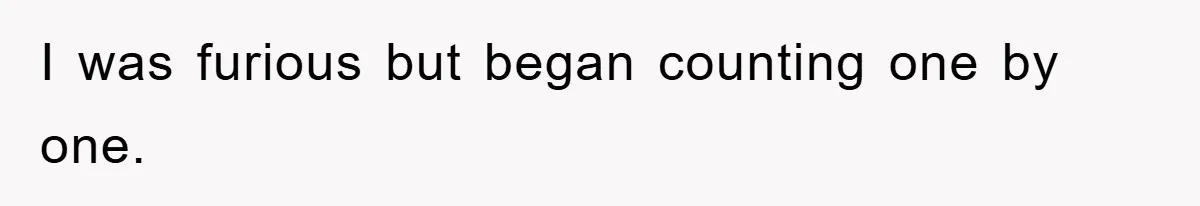I was furious but began counting one by one.