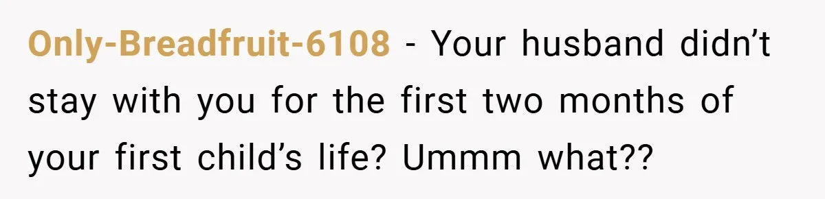 Only-Breadfruit-6108 − Your husband didn’t stay with you for the first two months of your first child’s life? Ummm what??