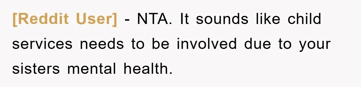 [Reddit User] − NTA. It sounds like child services needs to be involved due to your sisters mental health.