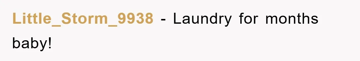 Little_Storm_9938 − Laundry for months baby!