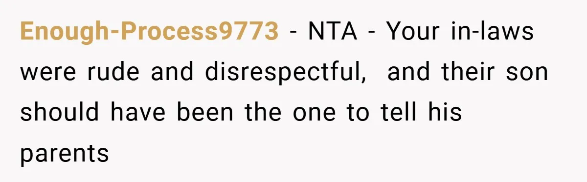 Enough-Process9773 − NTA - Your in-laws were rude and disrespectful,  and their son should have been the one to tell his parents