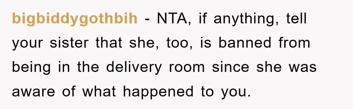 bigbiddygothbih − NTA, if anything, tell your sister that she, too, is banned from being in the delivery room since she was aware of what happened to you.