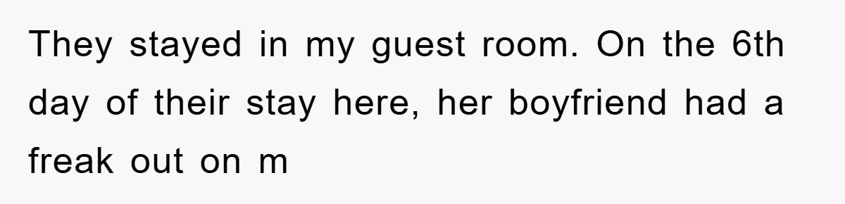 They stayed in my guest room. On the 6th day of their stay here, her boyfriend had a freak out on m