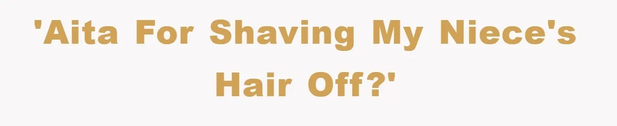 'AITA for shaving my niece's hair off?'