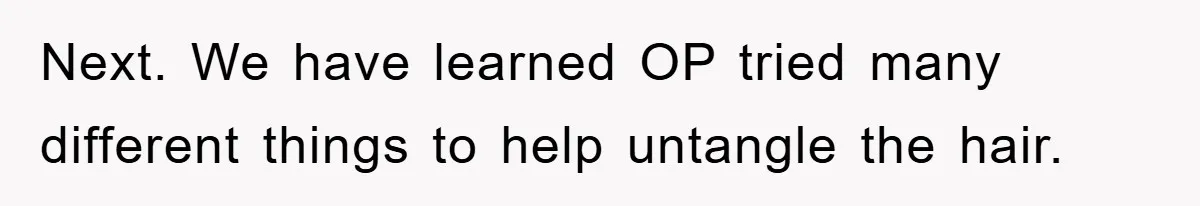Next. We have learned OP tried many different things to help untangle the hair.