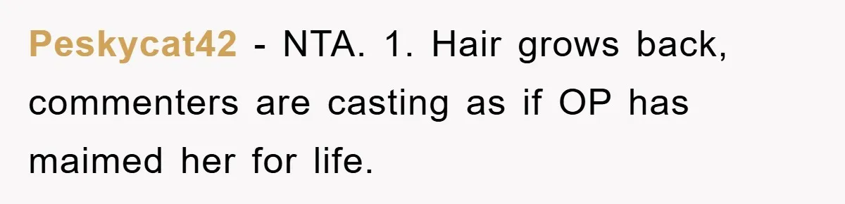 Peskycat42 − NTA. 1. Hair grows back, commenters are casting as if OP has maimed her for life.