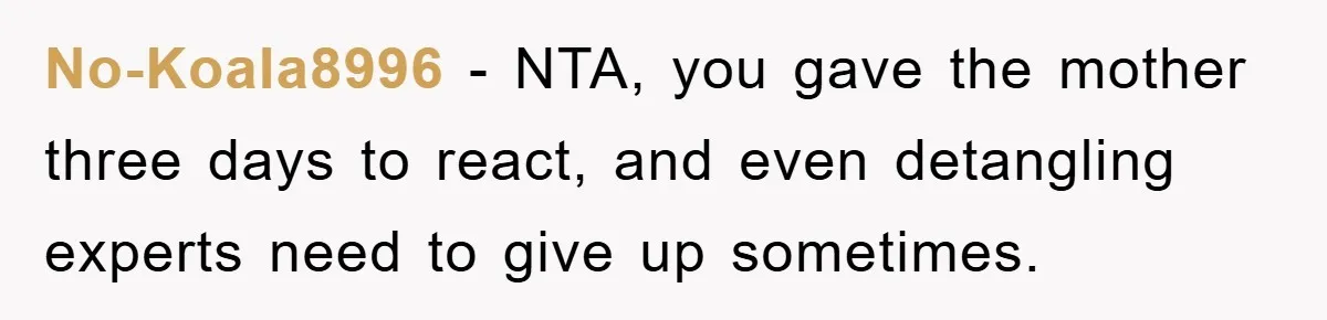 No-Koala8996 − NTA, you gave the mother three days to react, and even detangling experts need to give up sometimes.
