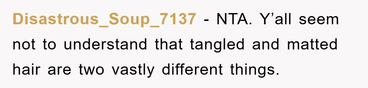 Disastrous_Soup_7137 − NTA. Y’all seem not to understand that tangled and matted hair are two vastly different things.