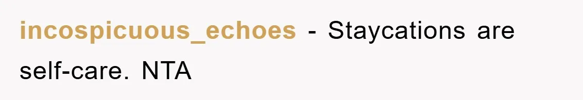 incospicuous_echoes - Staycations are self-care. NTA