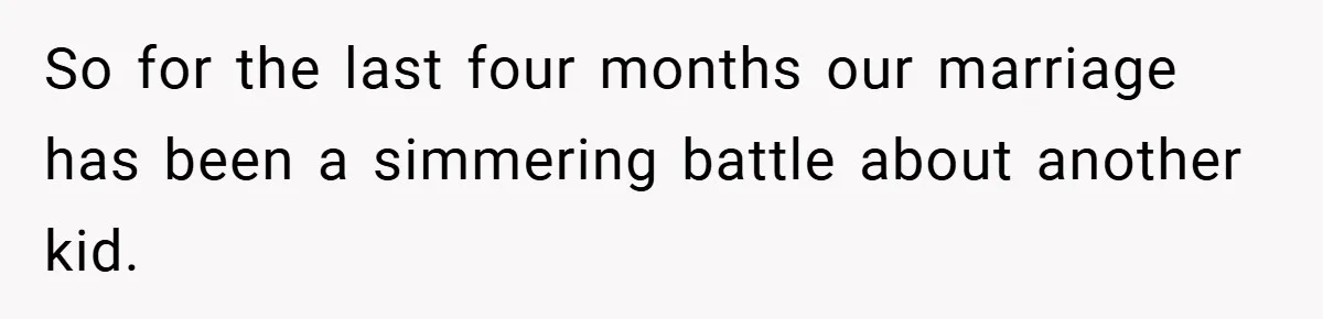 So for the last four months our marriage has been a simmering battle about another kid.