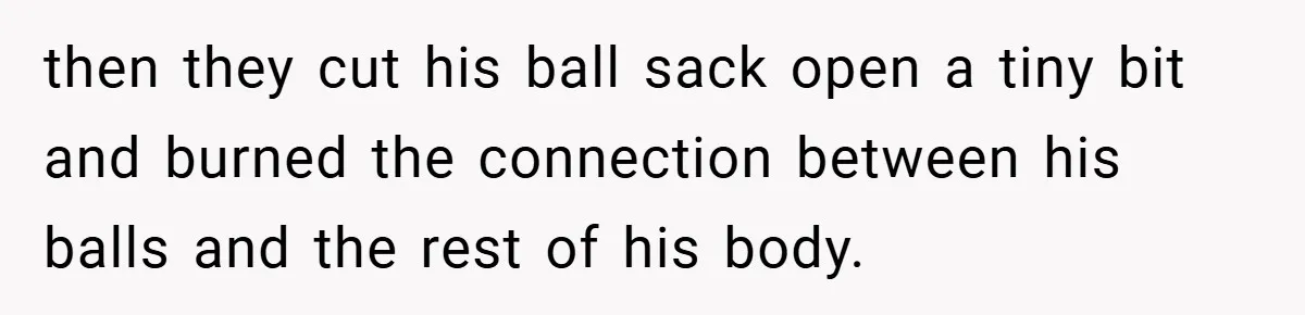then they cut his ball sack open a tiny bit and burned the connection between his balls and the rest of his body.