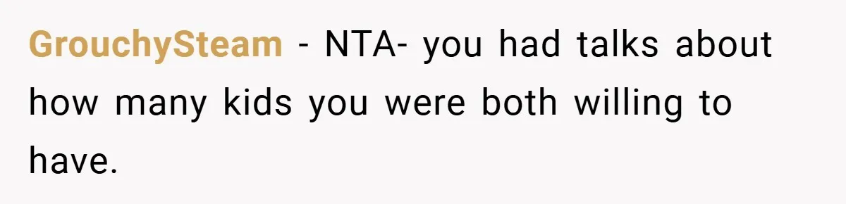 GrouchySteam − NTA- you had talks about how many kids you were both willing to have.