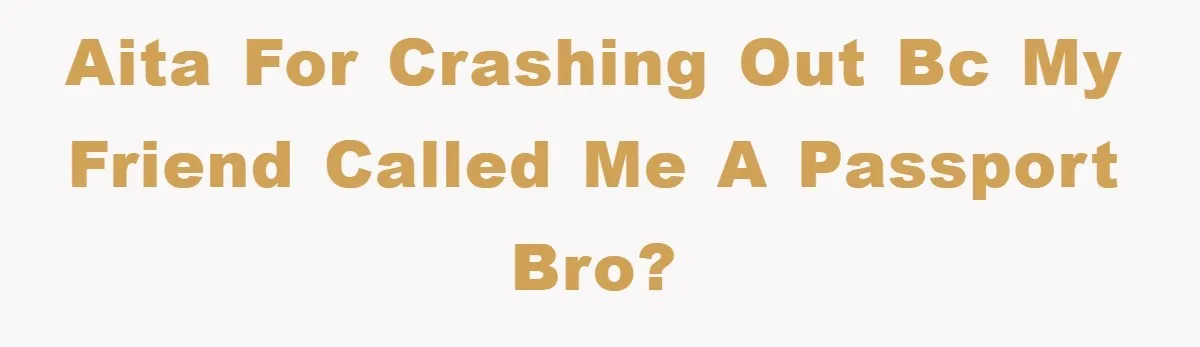 AITA for crashing out bc my friend called me a passport bro?