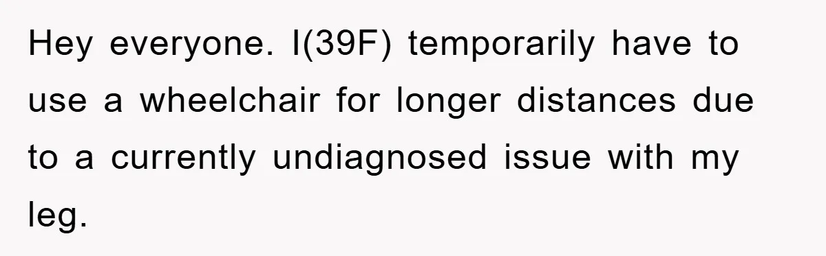 Hey everyone. I(39F) temporarily have to use a wheelchair for longer distances due to a currently undiagnosed issue with my leg.
