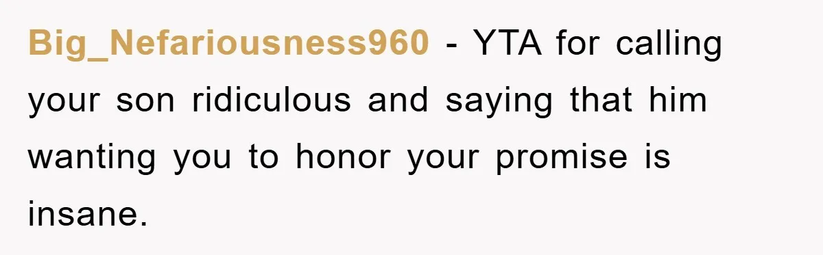 Big_Nefariousness960 - YTA for calling your son ridiculous and saying that him wanting you to honor your promise is insane.