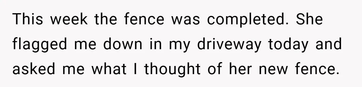 This week the fence was completed. She flagged me down in my driveway today and asked me what I thought of her new fence.