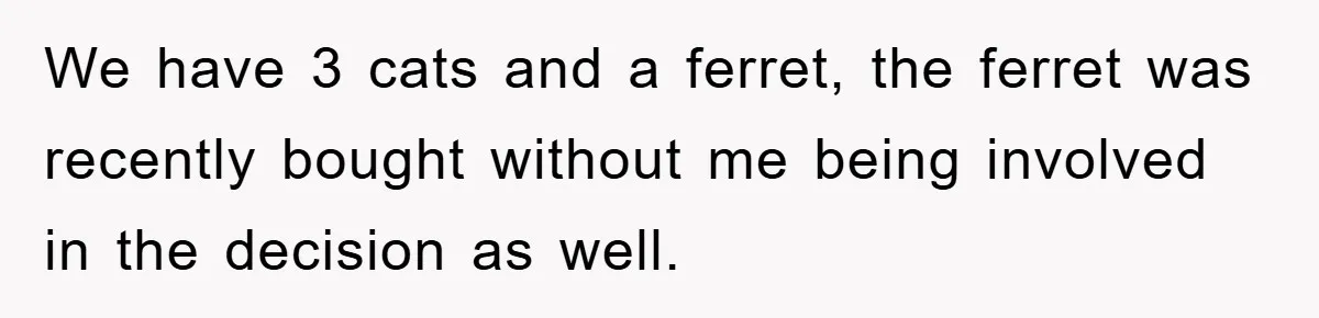 We have 3 cats and a ferret, the ferret was recently bought without me being involved in the decision as well.