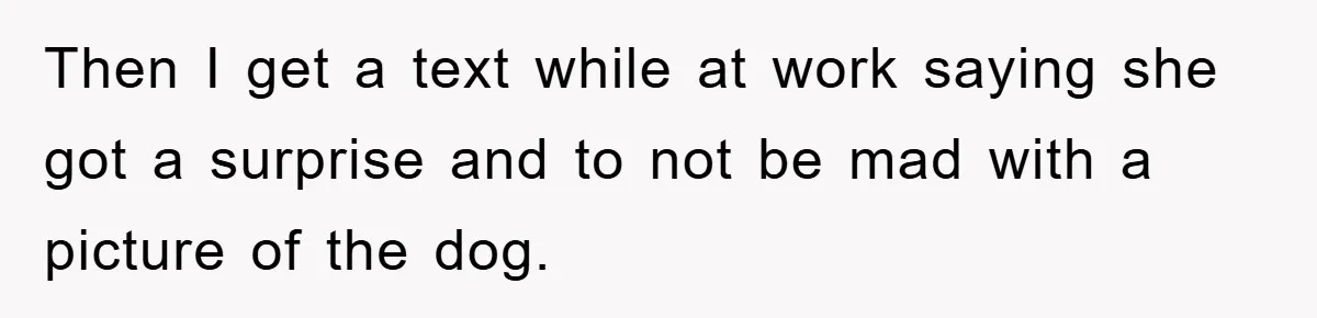 Then I get a text while at work saying she got a surprise and to not be mad with a picture of the dog.