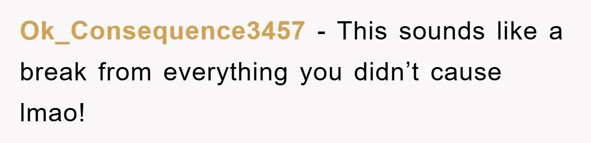 Ok_Consequence3457 − This sounds like a break from everything you didn’t cause lmao!