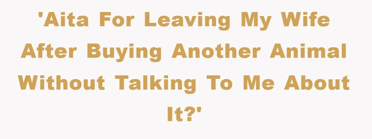 'AITA for leaving my wife after buying ANOTHER animal without talking to me about it?'