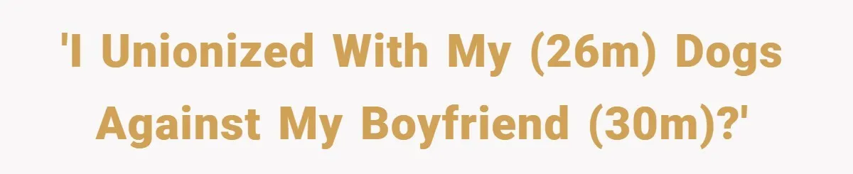'I unionized with my (26M) dogs against my boyfriend (30M)?'