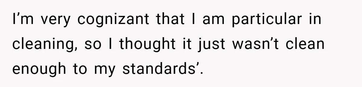 I’m very cognizant that I am particular in cleaning, so I thought it just wasn’t clean enough to my standards’.