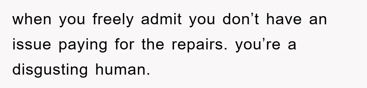when you freely admit you don’t have an issue paying for the repairs. you’re a disgusting human.