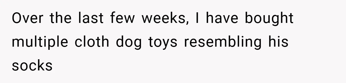 Over the last few weeks, I have bought multiple cloth dog toys resembling his socks