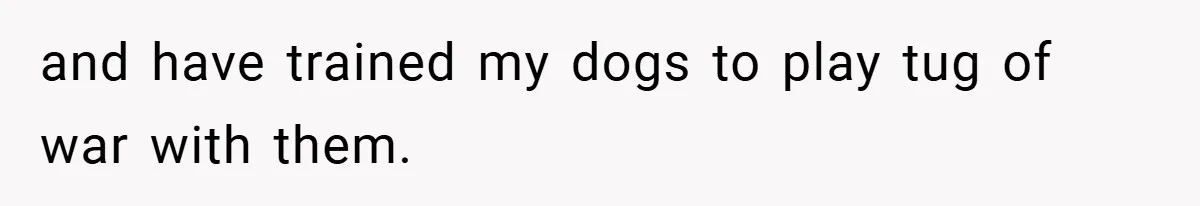 and have trained my dogs to play tug of war with them.