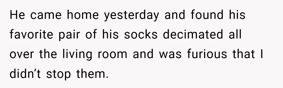 He came home yesterday and found his favorite pair of his socks decimated all over the living room and was furious that I didn’t stop them.