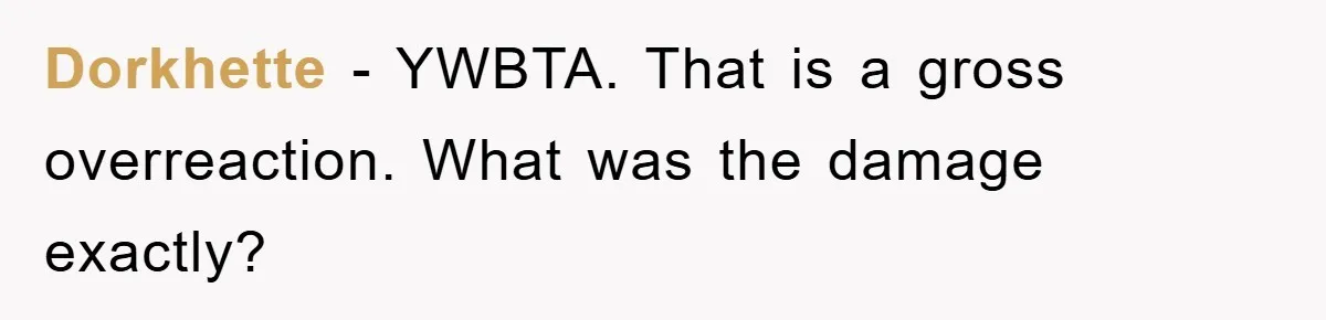 Dorkhette − YWBTA. That is a gross overreaction. What was the damage exactly?