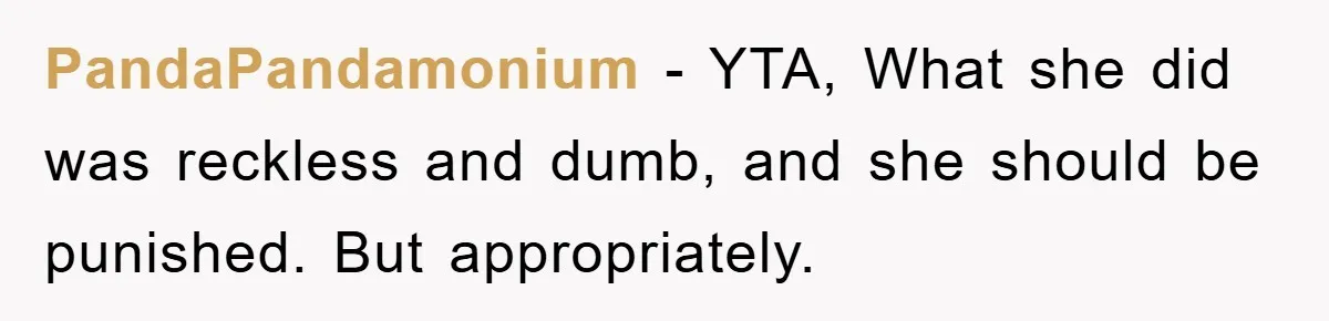 PandaPandamonium − YTA, What she did was reckless and dumb, and she should be punished. But appropriately.