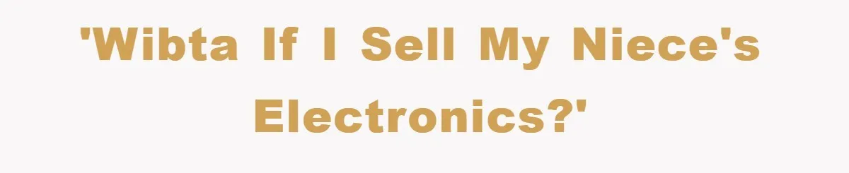 'WIBTA if I sell my niece's electronics?'