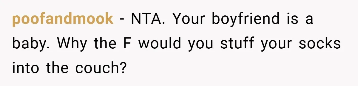 poofandmook − NTA. Your boyfriend is a baby. Why the F would you stuff your socks into the couch?