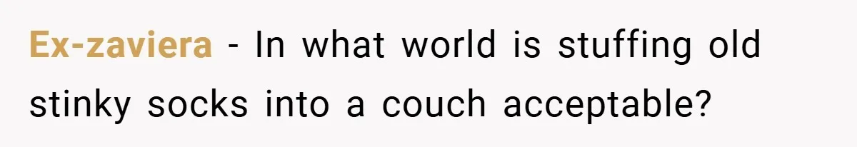 Ex-zaviera − In what world is stuffing old stinky socks into a couch acceptable?