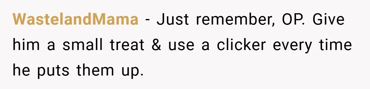 WastelandMama − Just remember, OP. Give him a small treat & use a clicker every time he puts them up.