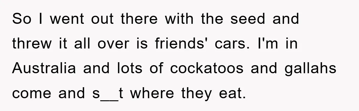 So I went out there with the seed and threw it all over is friends' cars. I'm in Australia and lots of cockatoos and gallahs come and s__t where they...